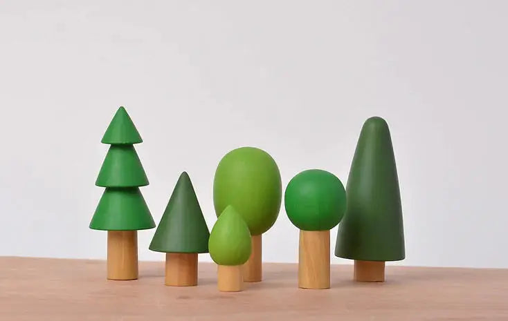 BIRCH EVERGREEN FOREST TREES – (1)