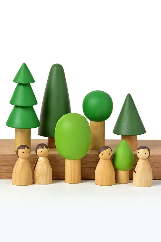 BIRCH EVERGREEN FOREST TREES – (2)