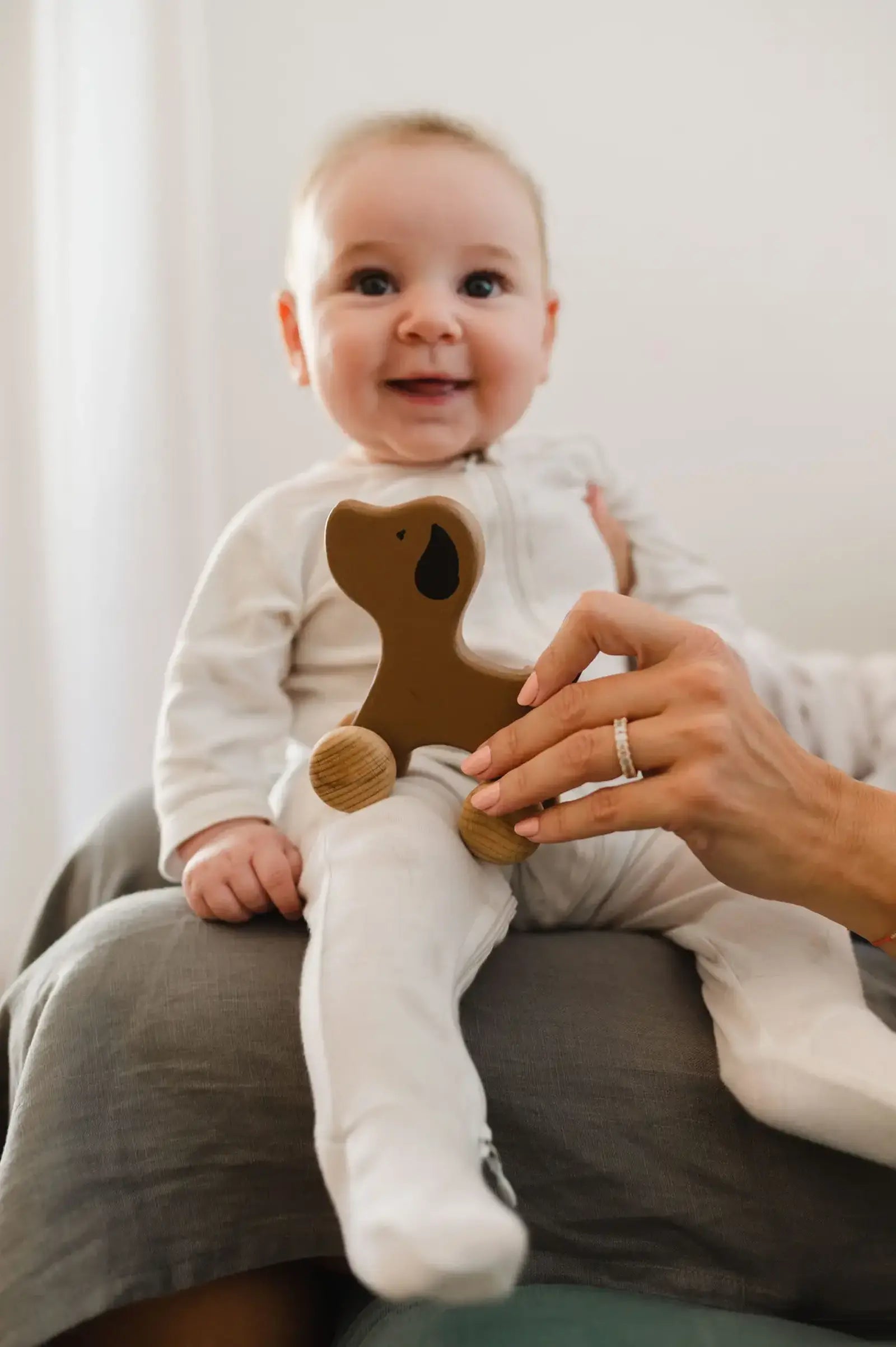 Animal Roller – Dog