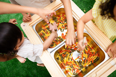 SENSORY TABLE