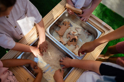 SENSORY TABLE