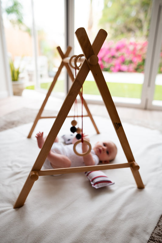 BABY FLOOR GYM AND MOBILE